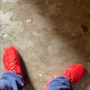 Meet your Posher, Larry